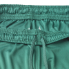 Шорти SELECT Spain v25 player shorts Green
